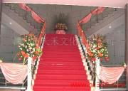 深圳市天禾文化礼仪公司 以专业影像定格每一份礼仪之美