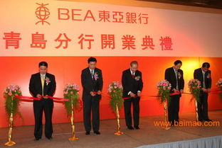 青岛庆典礼仪服务全攻略 市南专业策划、纳博供应商与摄影摄像推荐